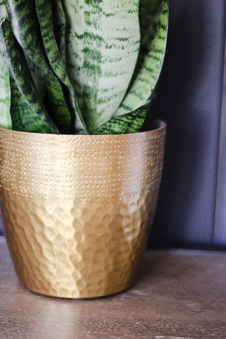 Brass colored metal planter - 3 sizes available