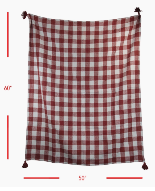 Hand Woven Outdoor Safe Throw Blanket: Red Gingham
