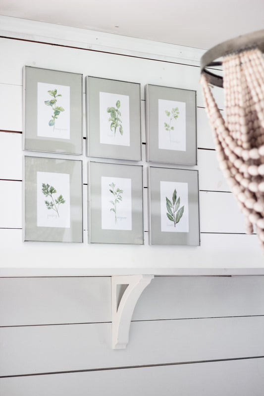 Set of 3 5x7 Herb Prints : Physical product