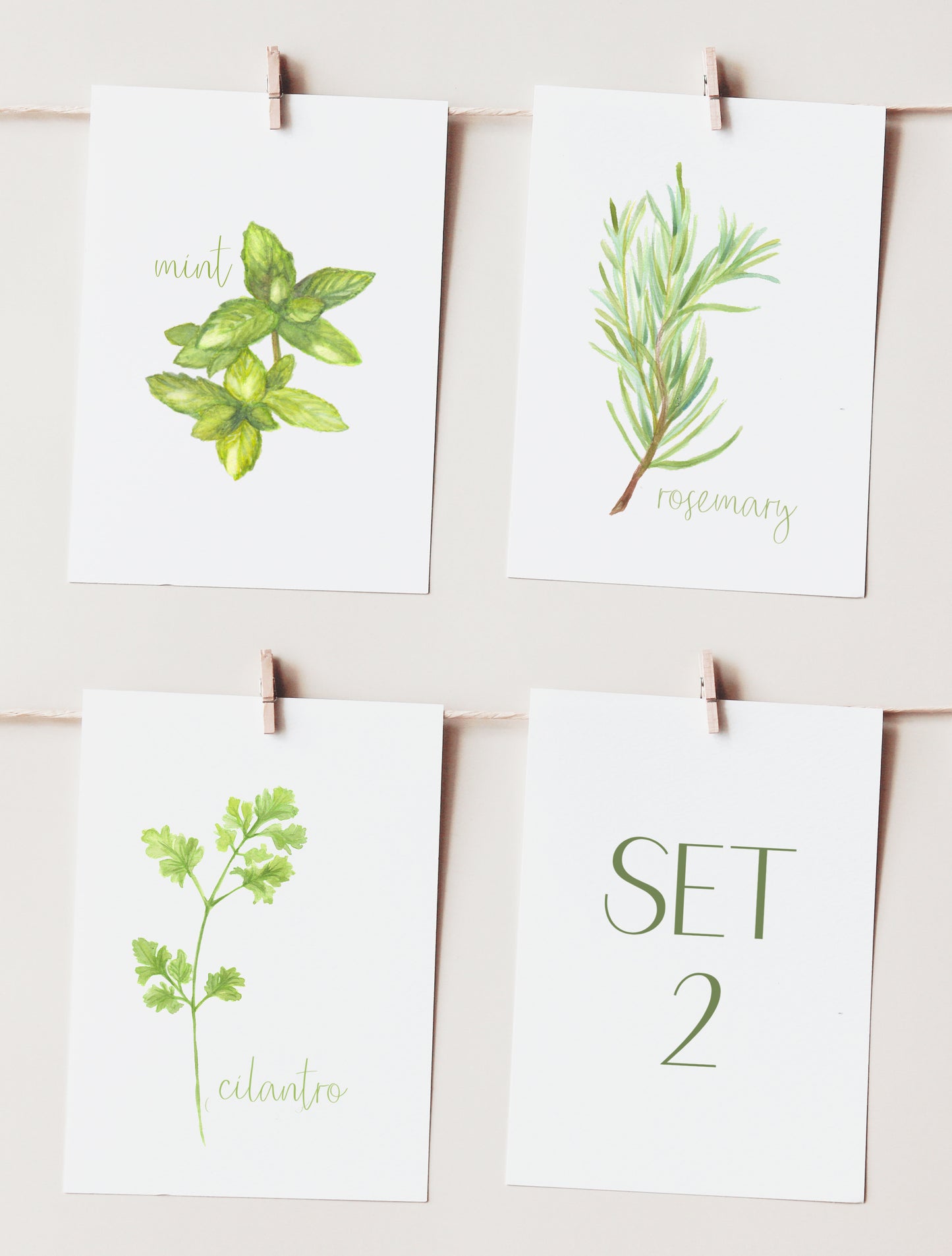 Set of 3 5x7 Herb Prints : Physical product